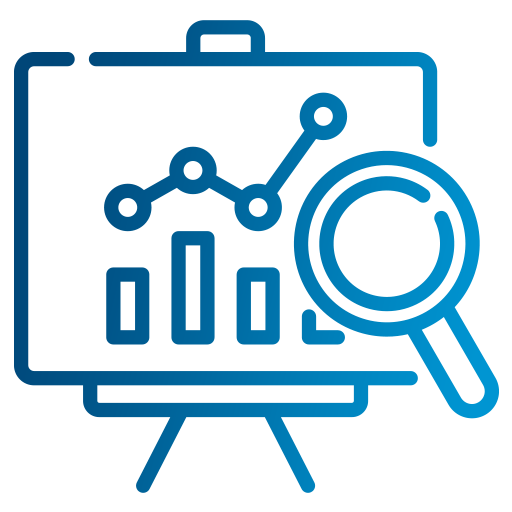 NetSuite Implementation Support